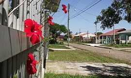 Imb - Imb-RS-Rua da cidade-Foto:Susy Dienstbach