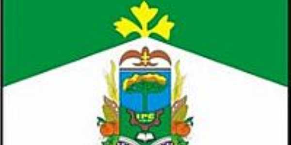 Bandeira da cidade 