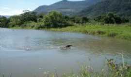 Itati - um brao do rio tres forquilhas um co se refrescando, Por Marssis