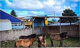 Jaquirana - Imagens da cidade de Jaquirana - RS