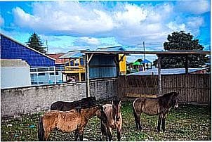 Imagens da cidade de Jaquirana - RS