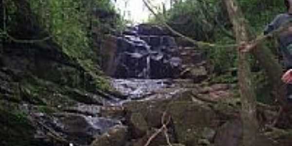 Cascata-por Elizabeth Nardi