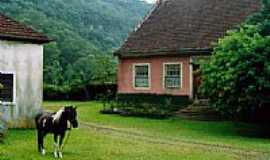 Morro Reuter - Paisagem Rural-Germano Schr