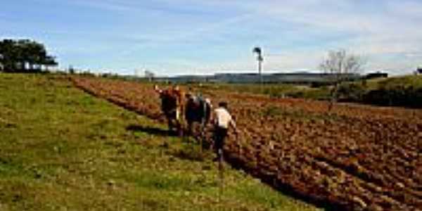 Vista Rural-Liceo Piovesan