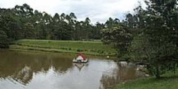 Lago Ecolgico