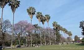 Porto Alegre - Vista do Parque Farroupilha em Porto Alegre-RS-Foto:Paulo Yuji Takarada