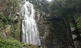 Progresso - Cascata do Moinho em Progresso-Foto:gionatannicolini