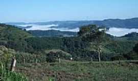 Progresso - Vista da regio de Progresso-Foto:Josias Porciuncula O