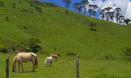 Pulador - Pulador-RS-Montanhas e pastagem-Foto:!BiG---Andr S. 