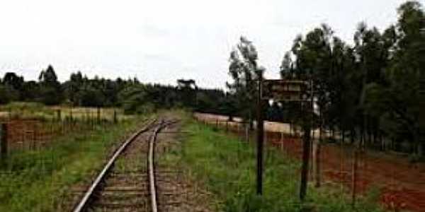 Pulador-RS-Trilhos e Plataforma da antiga Estao Ferroviria-Foto:Vitor Hugo Langaro