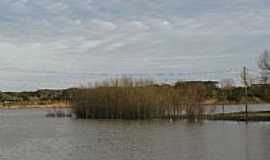 Rio Pardo - Ingazeiros no Rio Jacu-por Diego Ruschel