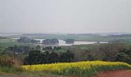 Ronda Alta - Lavoura de Canola e ao fundo a Barragem em Ronda Alta-RS-Foto:eltonstrada