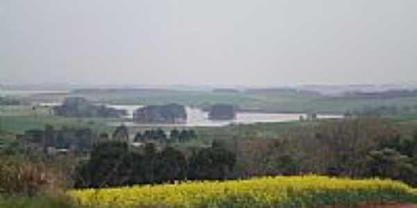 Lavoura de Canola e ao fundo a Barragem em Ronda Alta-RS-Foto:eltonstrada