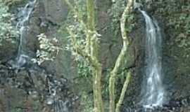Salvador do Sul - Imagem
