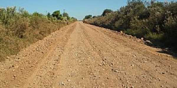 Santa Flora-RS-Estrada da regio-Foto:www.santamaria.rs.gov.br 