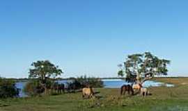 Santa Izabel do Sul - Paisagem-Foto:Paulo Angonese 