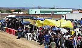 Mansido -  Fotos VII MotoCross de Mansido
Fotos: Danilo Dias