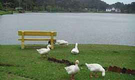 So Francisco de Paula - So Francisco de Paula-RS-Patos no Lago So Bernardo-Foto:MARCELO S F