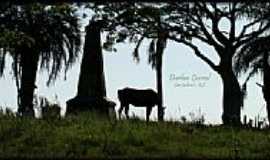 So Gabriel - Monumento  Sep Tiaraju-Foto:Darlan Corral 