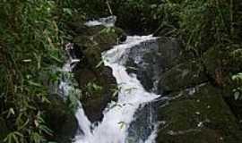 So Pedro da Serra - Cascata Linha Babilnia