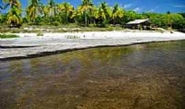 Mara - Rancho na praia de Mara-BA-Foto:Auro Queiroz