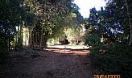 So Valentim - Estrada Arborizada-eltonstrada