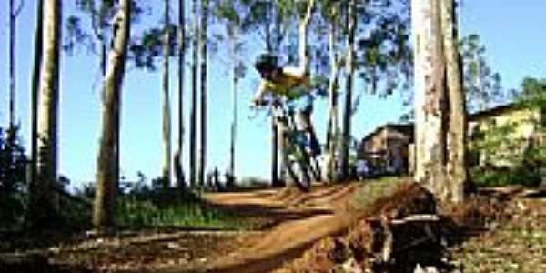 Trilha de Downhill-Foto:Sidinei Pires 