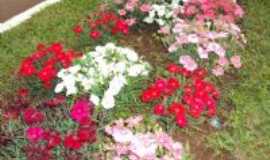 Selbach - canteiro florido Avenida Jacu, Por Sady Afonso Junges