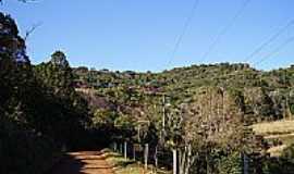 Serafina Corra - 
