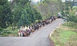 Taquaruu do Sul - 3 Cavalgada dos Mrtires em sua passagem por Taquaruu do Sul foto Luiz C Santos