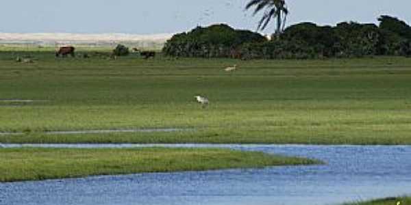 Tavares-RS-Parque Nacional Lagoa do Peixe-Foto:inema.com.br