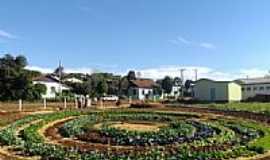 Tiradentes do Sul - Horta Comunitria em forma de Mandala-Foto:Luis Carlos Padilha 