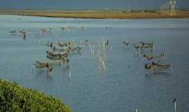 Tramanda - Tramanda-RS-Lagoa do Armazem(Temporada de pesca do camaro)-Foto:PCRAPAKI