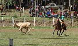 Trentin - Rodeio Crioulo-Foto:Luiz Carlos Santos 