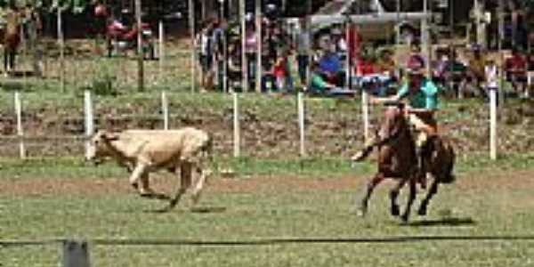 Rodeio Crioulo-Foto:Luiz Carlos Santos 