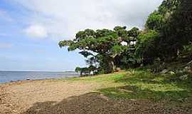 Trs Cachoeiras - Trs Cachoeiras-RS-Orla da prainha na Lagoa Itapeva-Foto:Lisiane Acosta Ramos