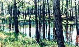 Tnel Verde - Lagoa da Cerquinha-