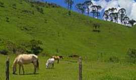 Unio da Serra - Unio da Serra