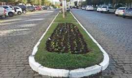 Veranpolis - Veranpolis-RS-Canteiro na Avenida central-Foto:pioneiro.clicrbs.com.br