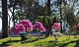 Viadutos - Conhea Viadutos no Rio Grande do Sul