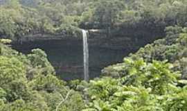 Atalanta - Cachoeira-Foto:Paulo Roberto Witosl