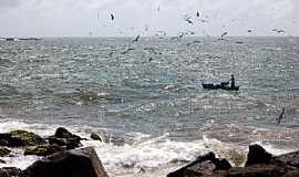 Barra Velha - Barra Velha-SC-Pesca artesanal e as gaivotas-Foto:Jakson Santos