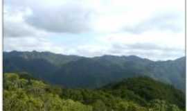 Blumenau - Parque Nacional da Serra do Itaja - Morro do Sapo, Por J. P. Maaneiro