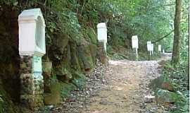 Brao do Norte - Gruta Nossa Senhora de Ftima