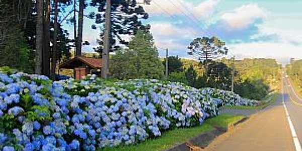 Imagens da cidade de Campo Alegre - SC