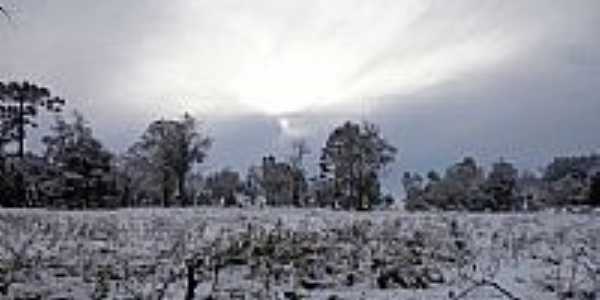 Campo coberto de neve na madrugada de 23/07/2013 em Canoinhas-SC-Foto:Johnatan Fuska Leoncio