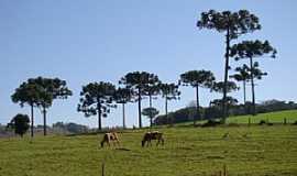 Capinzal - Imagens da cidade de Capinzal - SC