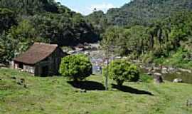 Cedro Alto - Paisagem-Foto:Carlos C. Nasato 