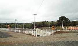 Cerro Negro - Cerro Negro-SC-Cancha de Lao Municipal