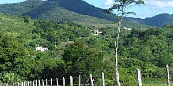 Monte Cruzeiro-BA-Serra da Jibia-Foto:Antnio Figueiredo